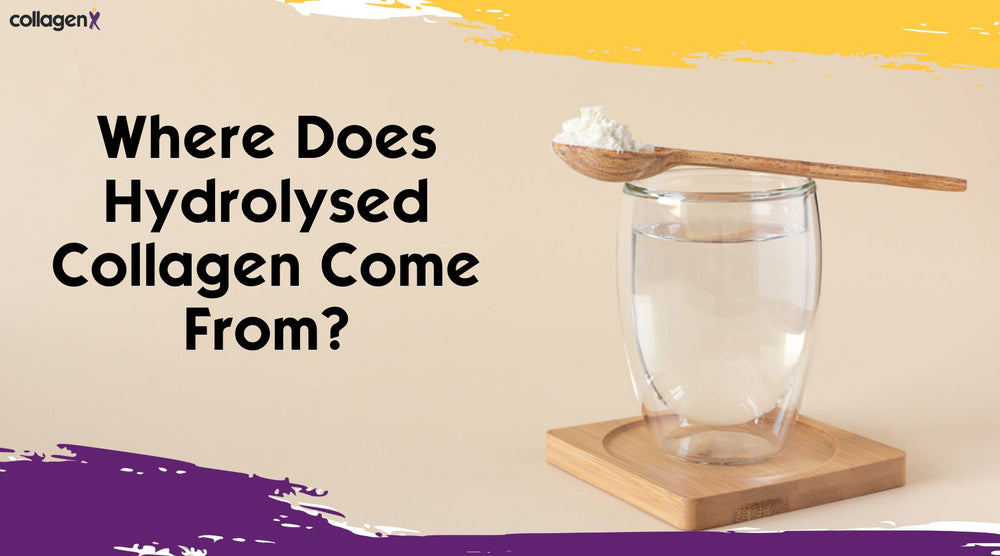 Where Does Hydrolysed Collagen Come From?