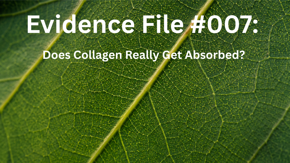 Evidence File #007: Does Collagen Really Get Absorbed? The Science Explained