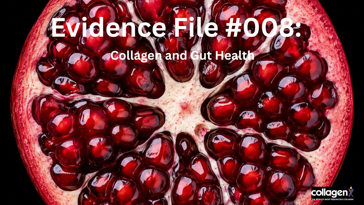 Evidence File #008: Collagen and Gut Health — What Researchers Have Actually Found