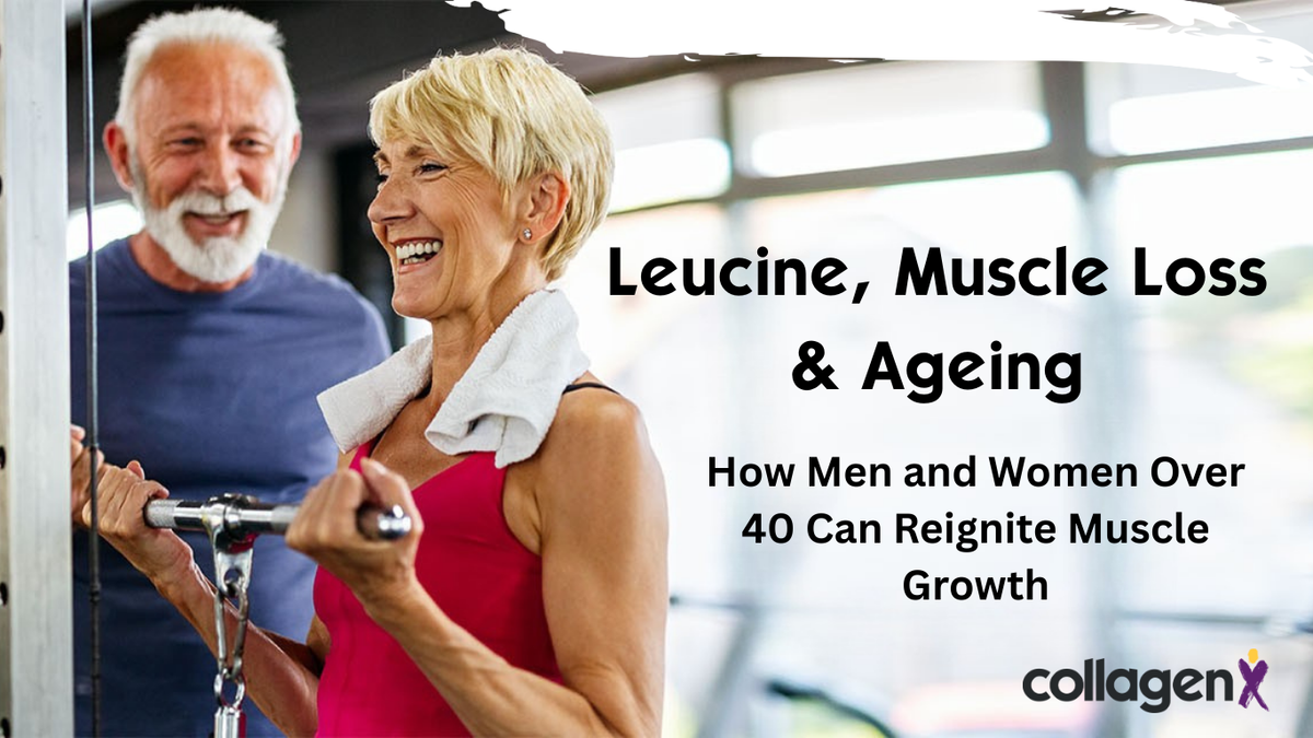 Leucine, Muscle Loss & Ageing: How Men and Women Over 40 Can Reignite Muscle Growth