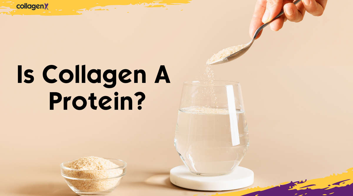 Is Collagen A Protein?