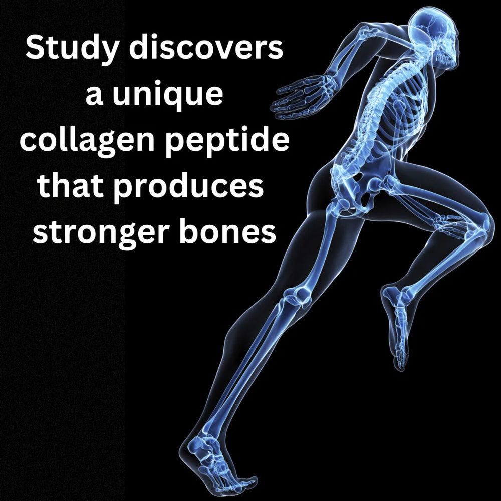 Study discovers a unique collagen peptide's effect on bone formation