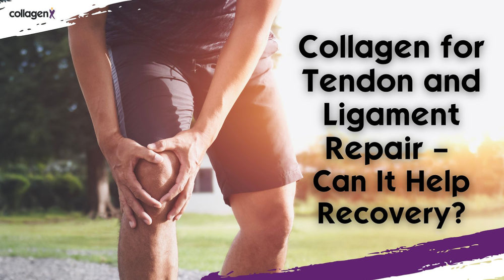 Collagen for Tendon and Ligament Repair – Can It Help Recovery?