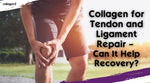 Collagen for Tendon and Ligament Repair – Can It Help Recovery?