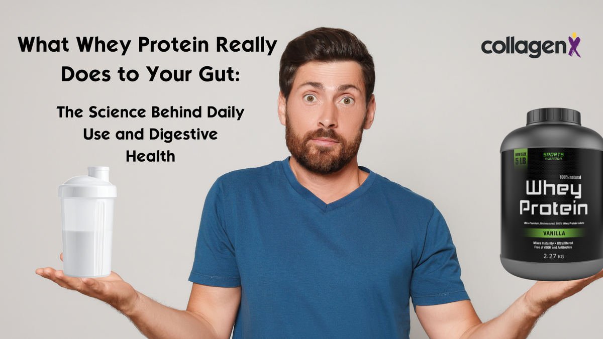 What Whey Protein Really Does to Your Gut: The Science Behind Daily Use and Digestive Health