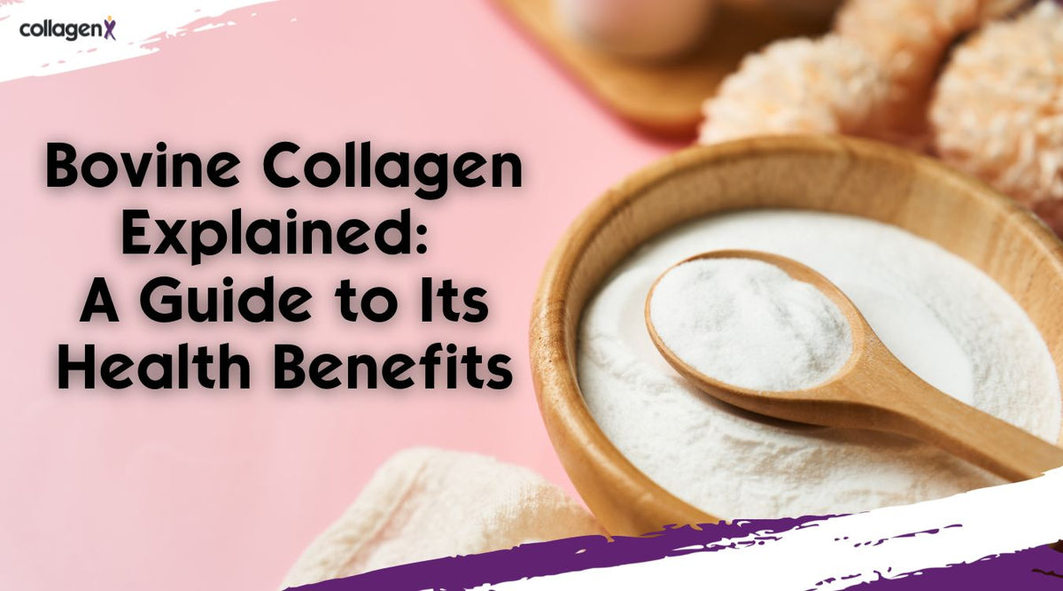 Bovine Collagen Explained: Benefits & Sources | CollagenX