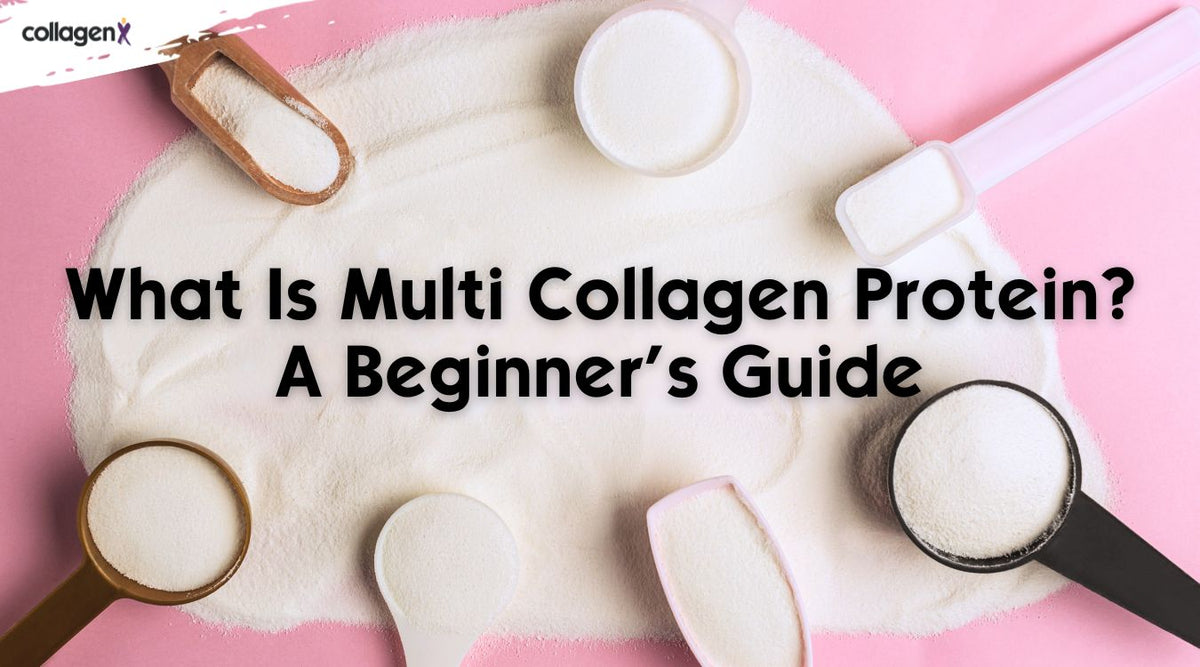 What Is Multi Collagen Protein? A Beginner’s Guide