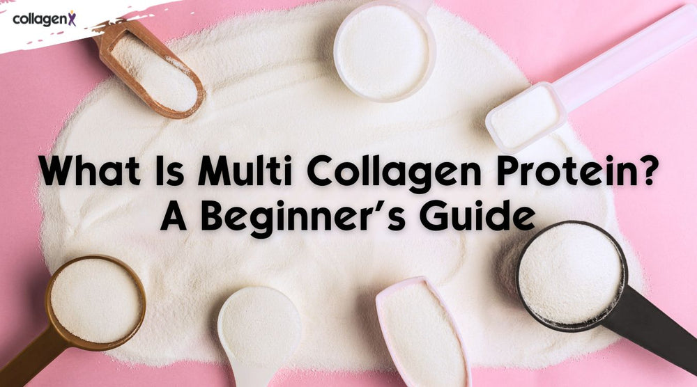 What Is Multi Collagen Protein? A Beginner’s Guide
